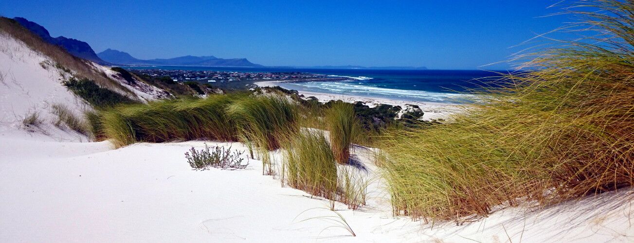 Weiße Dünen mit Strandgras und Meer im Hintergrund