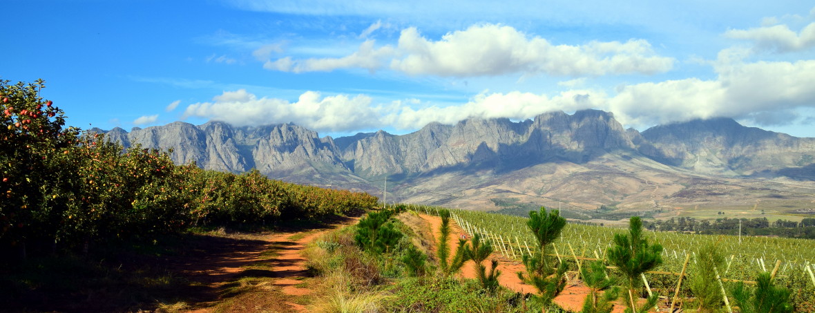 WEINANBAUGEBIET HERMANUS - KAPSTADT EXCLUSIVE TOURS