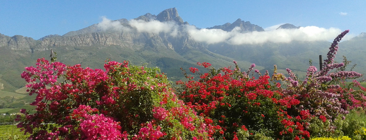 BERGE KAPSTADT EXCLUSIVE TOURS