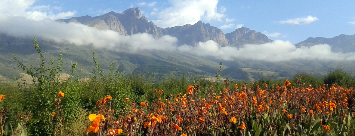 BERGE IM WESTERN CAPE - KAPSTADT EXCLUSIVE TOURS