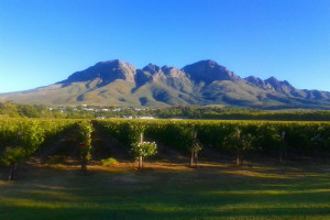 WINELANDS SOMERSET WEST